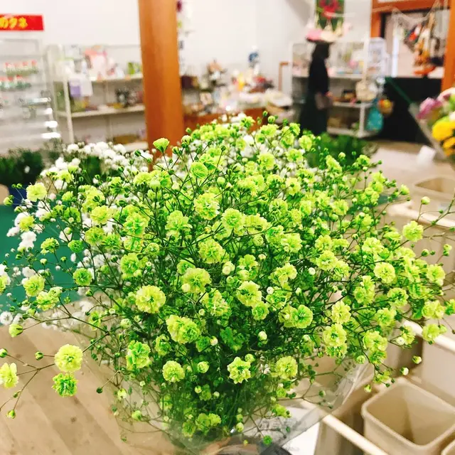 上天草物産館さんぱーる