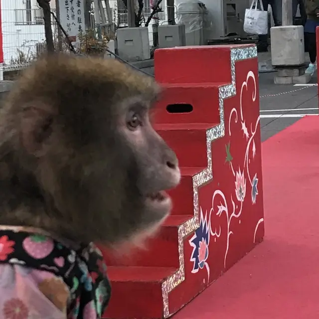 神田明神