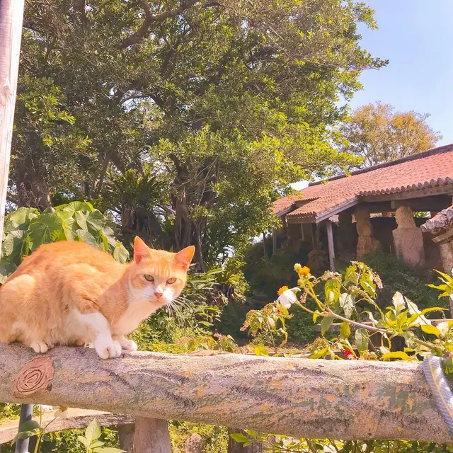 壺屋やちむん通り