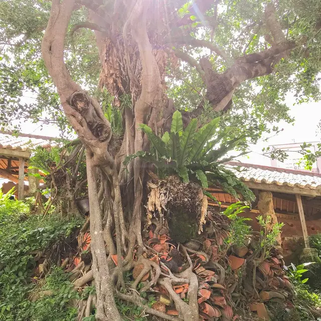 壺屋やちむん通り