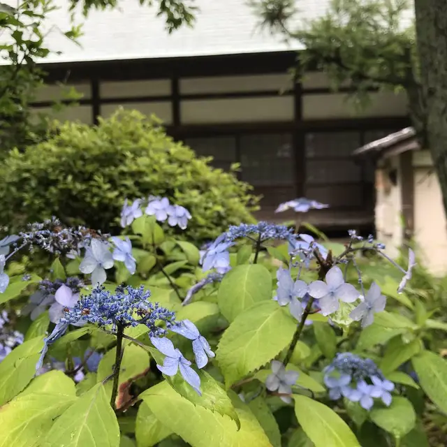 浄妙寺