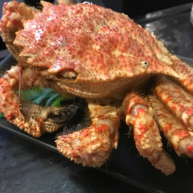 呑み処 ぶらっと