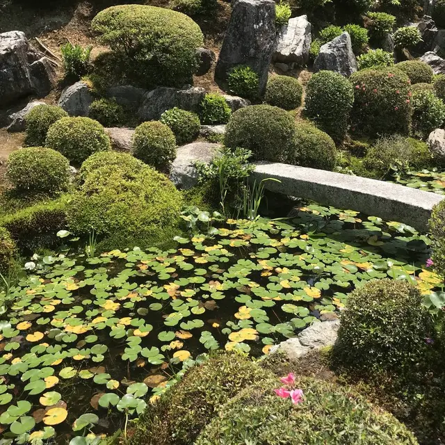 東福寺