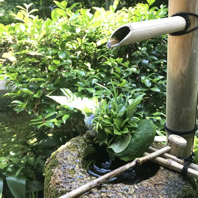 芬陀院