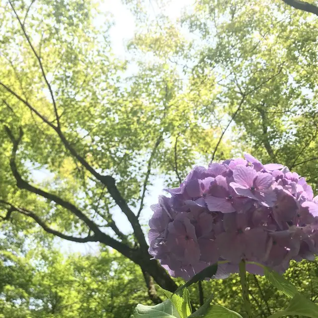 東福寺