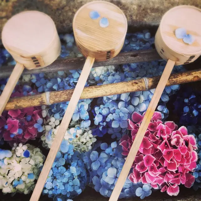 水堂須佐男神社