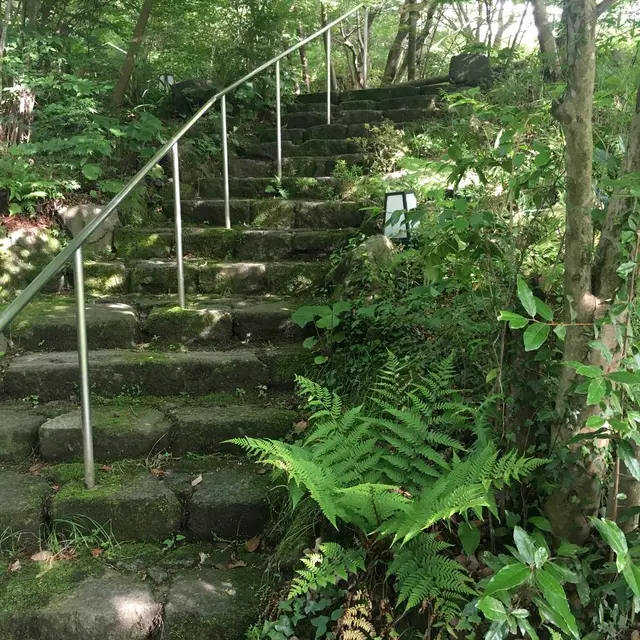 茶房わらび野