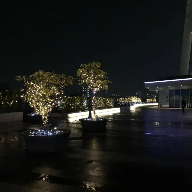東京スカイツリー