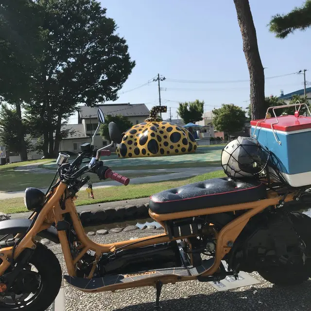 十和田市現代美術館