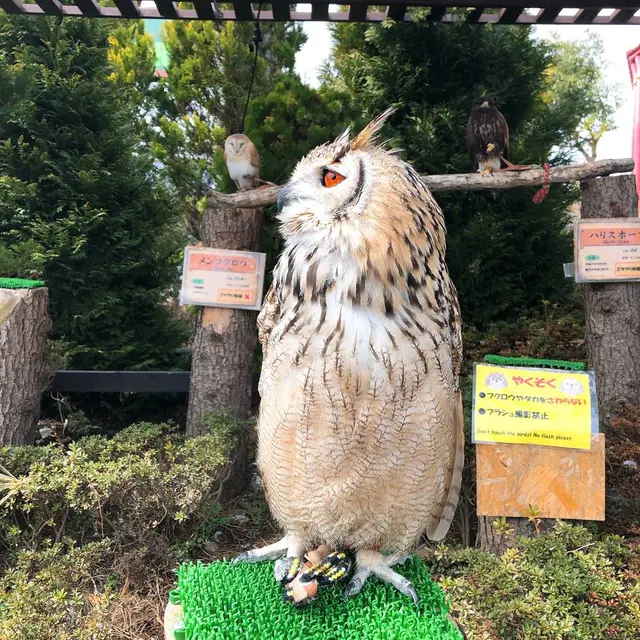 那須ハイランドパーク