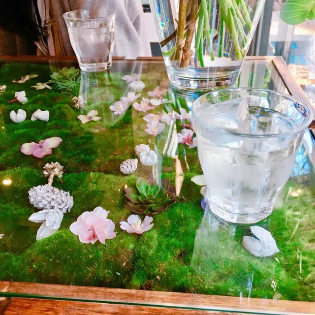 シュードゥリュバン(Chou de ruban)