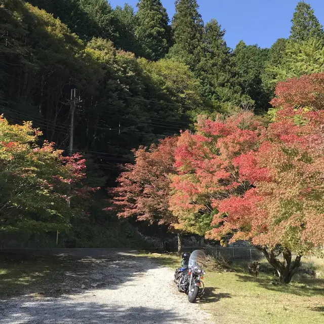 篭坊温泉