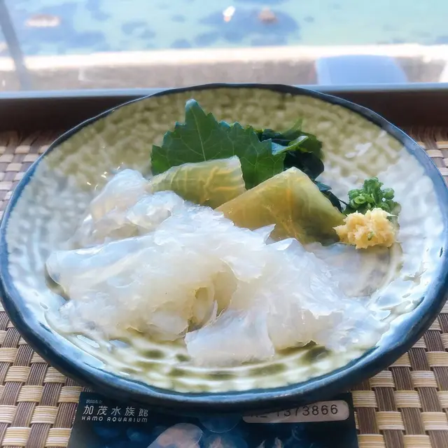 鶴岡市立加茂水族館（クラゲドリーム館）