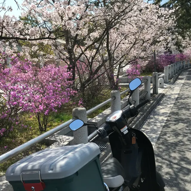 神呪寺（甲山大師）