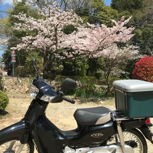 神呪寺（甲山大師）