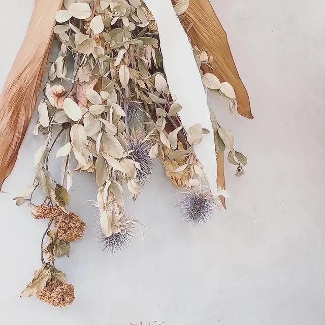 ronron coffee minette