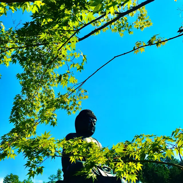 塩澤山 寳光寺 鹿野大佛