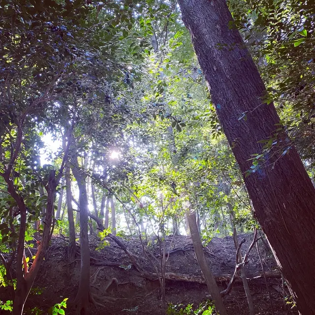 石清水八幡宮