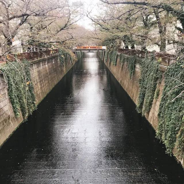 STARBUCKS RESERVE® ROASTERY TOKYO