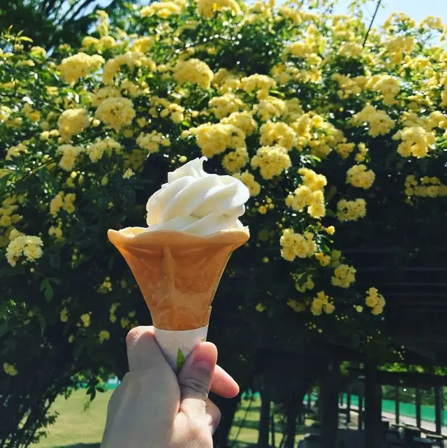 国営備北丘陵公園