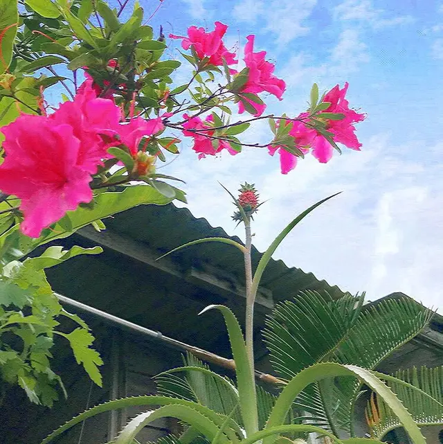 壺屋やちむん通り