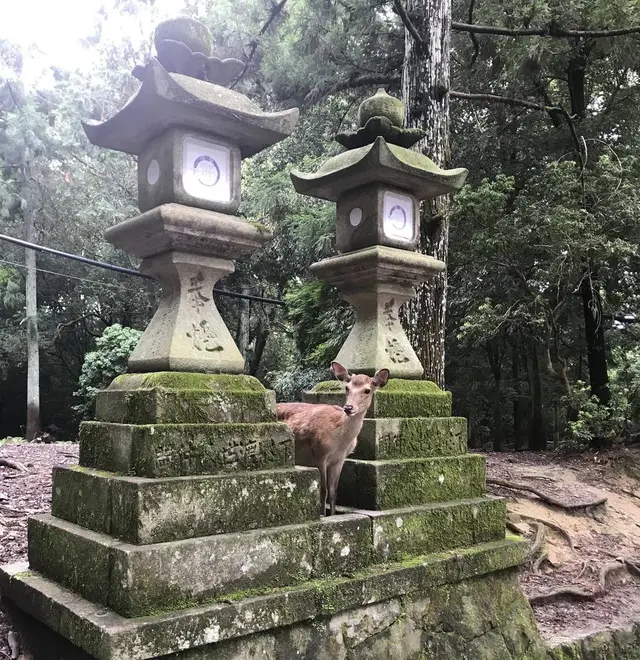 春日大社