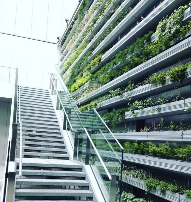 ギンザ シックス（GINZA SIX）