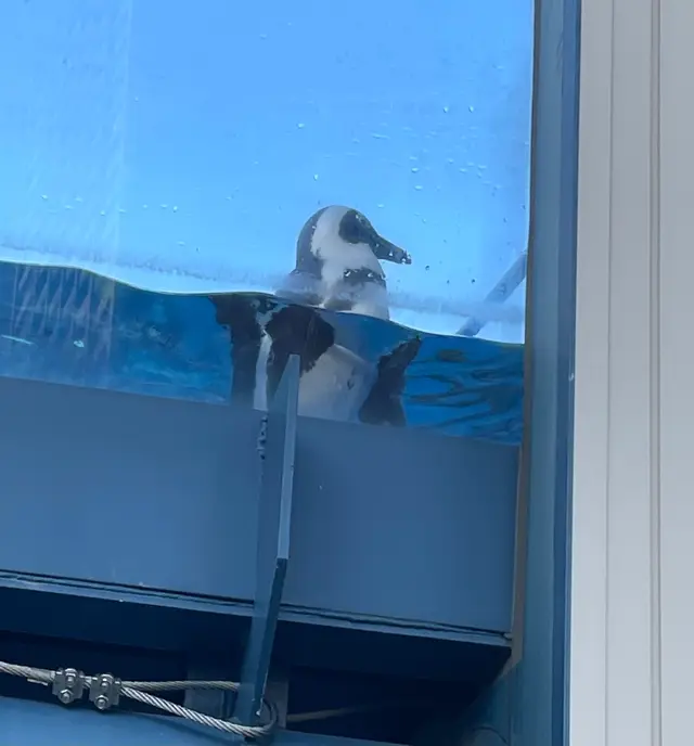 サンシャイン水族館