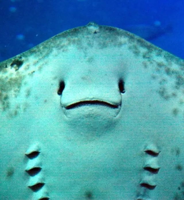 新江ノ島水族館