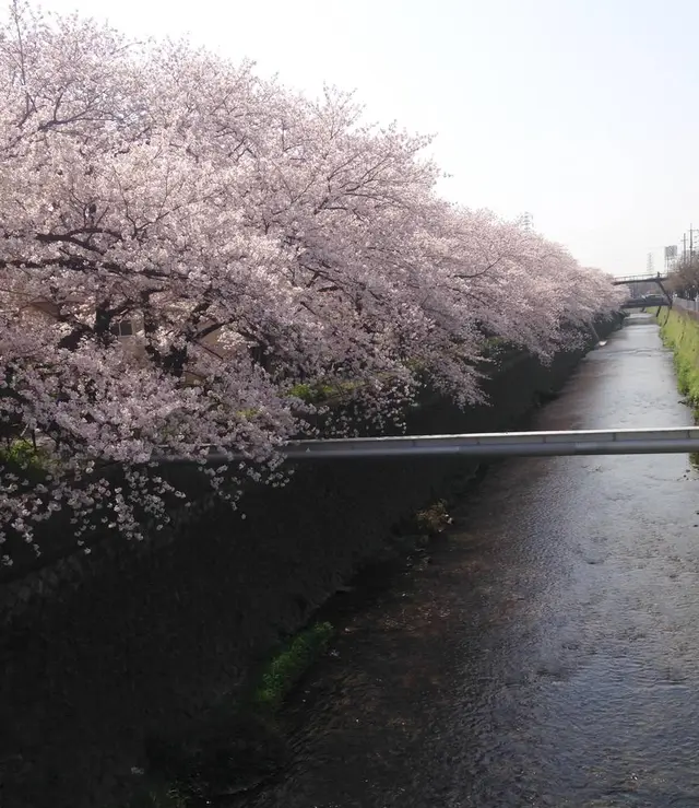 天神川