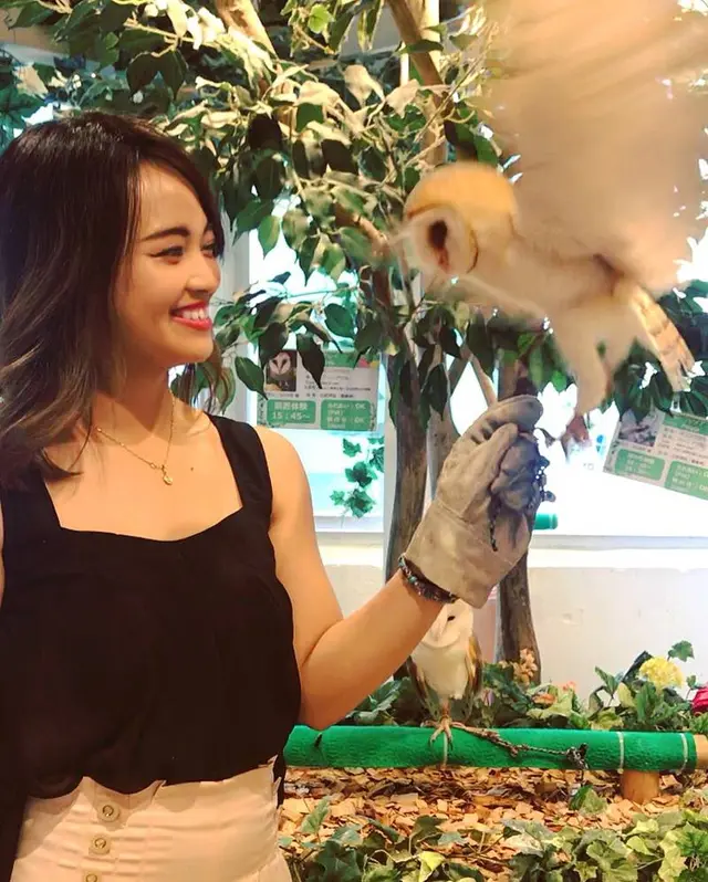 フクロウのお庭
