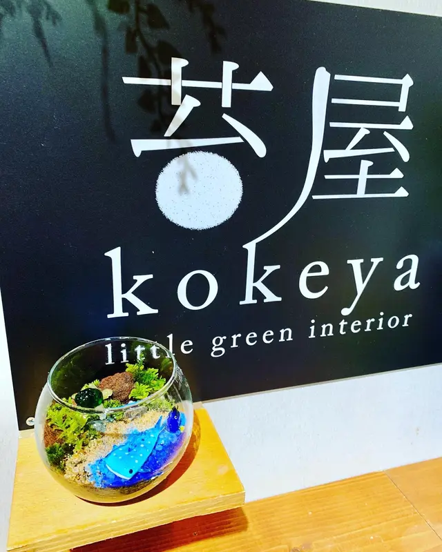 小さな緑のインテリア 苔屋