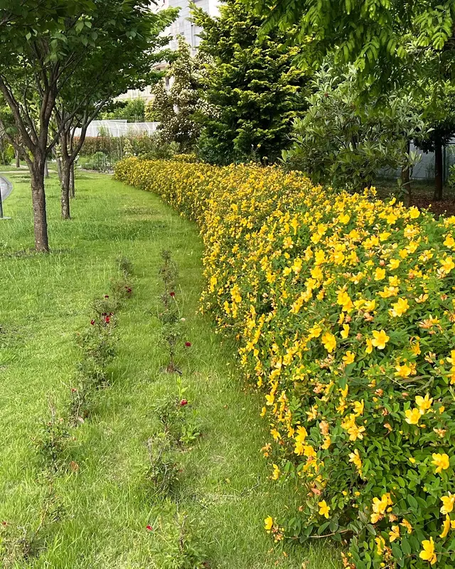 シンボルプロムナード公園 センタープロムナード