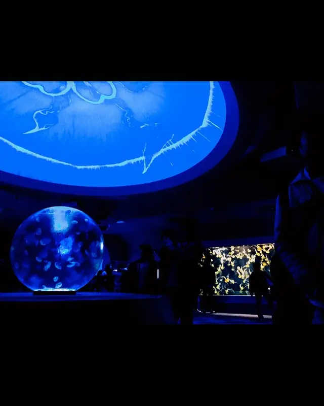 新江ノ島水族館