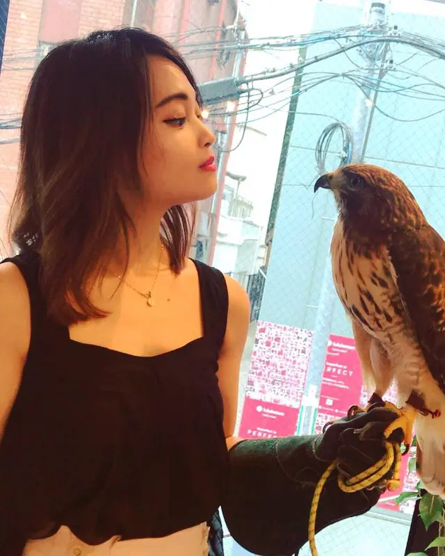 フクロウのお庭