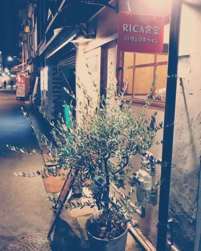 RICA食堂