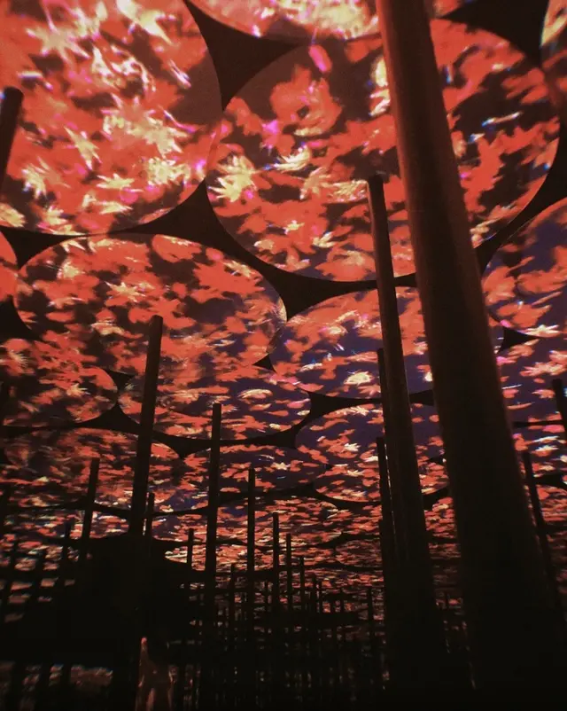 【閉業】森ビルデジタルアートミュージアム：エプソン チームラボボーダレス（MORI Building Digital Art Museum: EPSON teamLab Borderless）