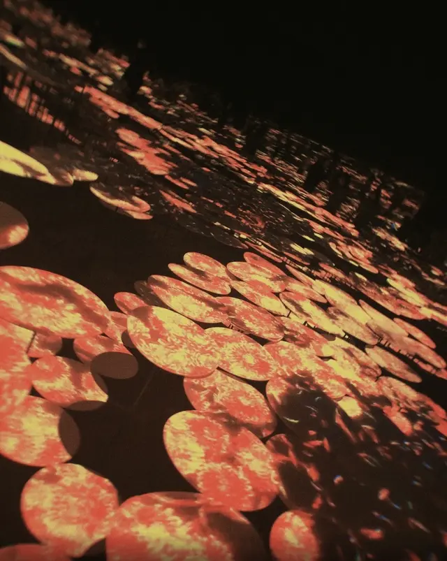 【閉業】森ビルデジタルアートミュージアム：エプソン チームラボボーダレス（MORI Building Digital Art Museum: EPSON teamLab Borderless）