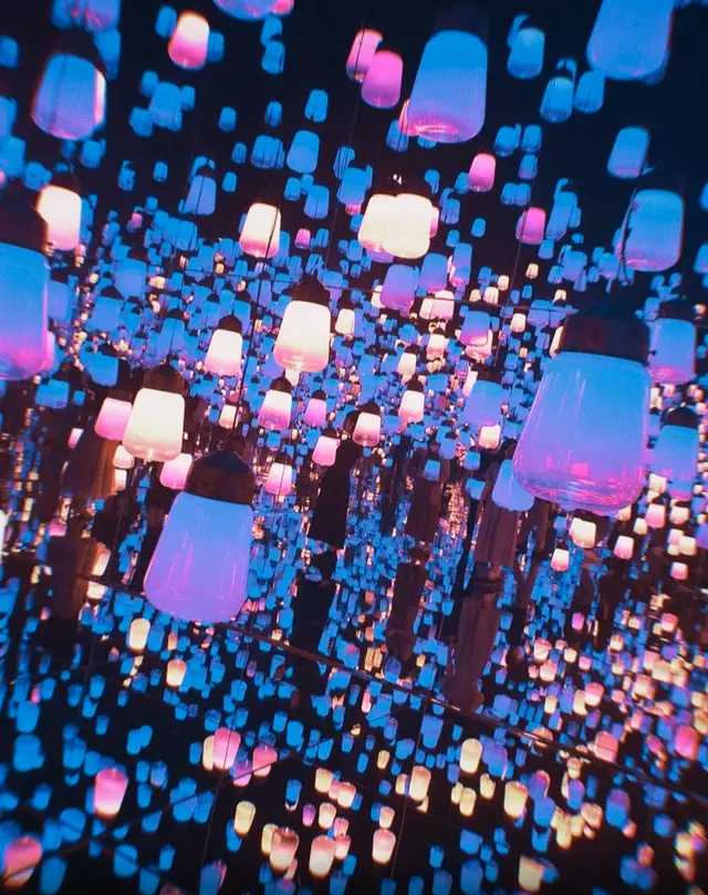 【閉業】森ビルデジタルアートミュージアム：エプソン チームラボボーダレス（MORI Building Digital Art Museum: EPSON teamLab Borderless）