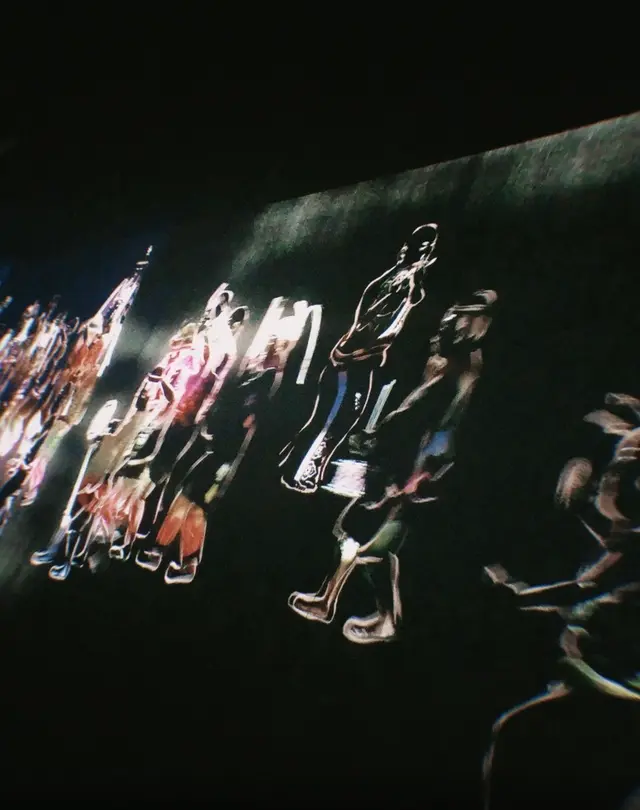 【閉業】森ビルデジタルアートミュージアム：エプソン チームラボボーダレス（MORI Building Digital Art Museum: EPSON teamLab Borderless）