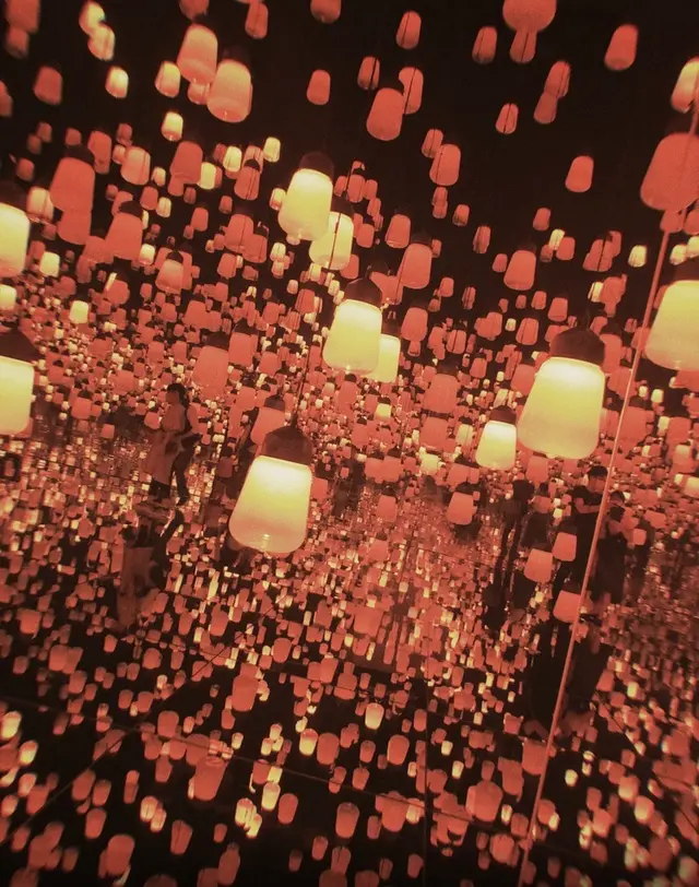 【閉業】森ビルデジタルアートミュージアム：エプソン チームラボボーダレス（MORI Building Digital Art Museum: EPSON teamLab Borderless）