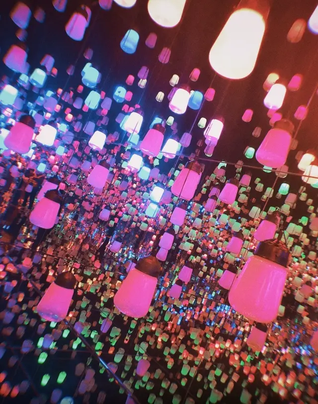 【閉業】森ビルデジタルアートミュージアム：エプソン チームラボボーダレス（MORI Building Digital Art Museum: EPSON teamLab Borderless）