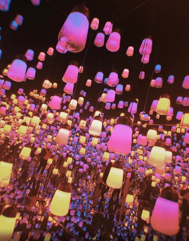 【閉業】森ビルデジタルアートミュージアム：エプソン チームラボボーダレス（MORI Building Digital Art Museum: EPSON teamLab Borderless）