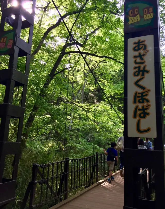 国営武蔵丘陵森林公園