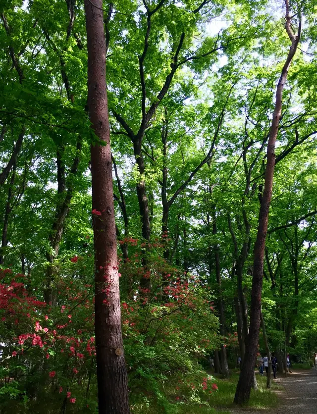 国営武蔵丘陵森林公園
