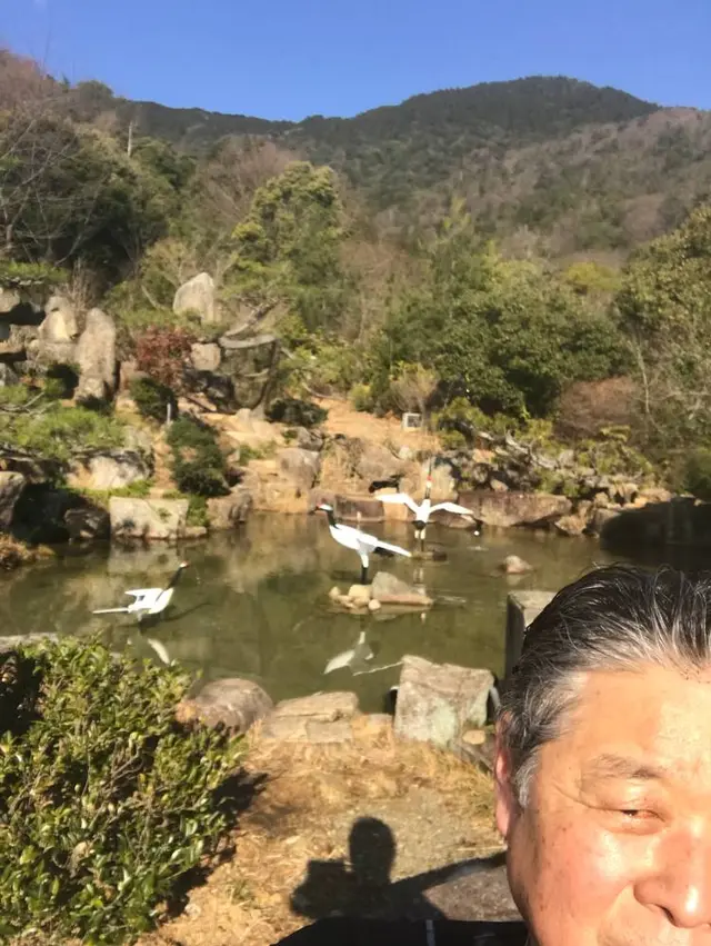 野呂山