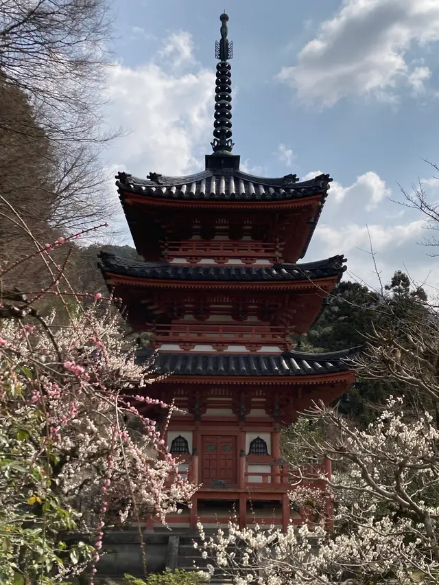 三室戸寺