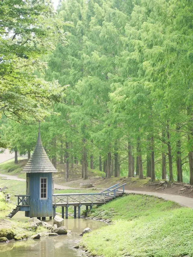 トーベ・ヤンソンあけぼの子どもの森公園