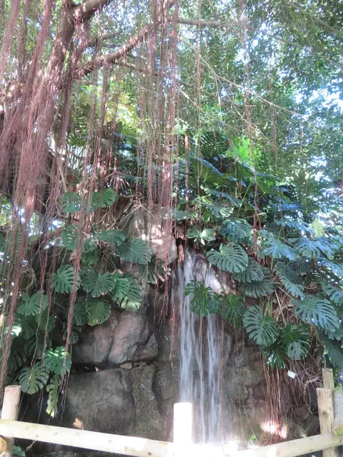 アロハガーデンたてやま