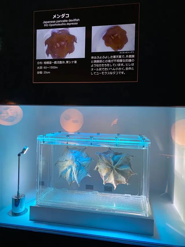 鴨川シーワールド